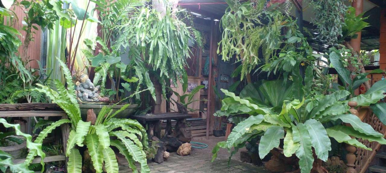 Ouychai Resort Home Stay Чиангмай Экстерьер фото